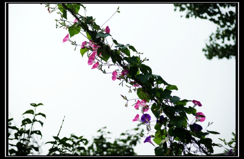 DSC04482_副本