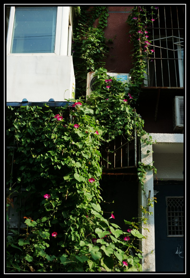 DSC04286_副本