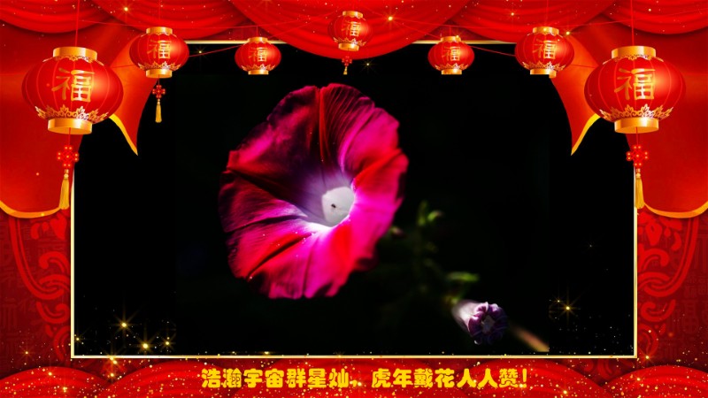 賀卡五