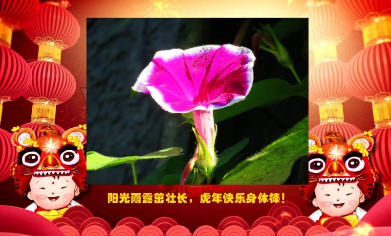 賀卡三