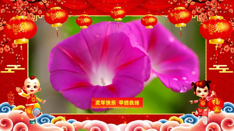 賀卡七
