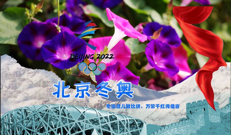 賀卡8_副本
