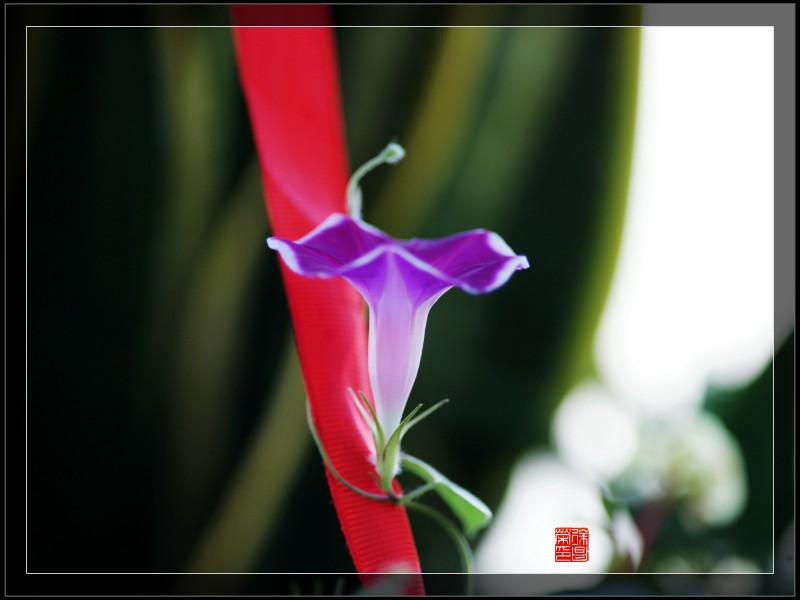 DSC06139_副本
