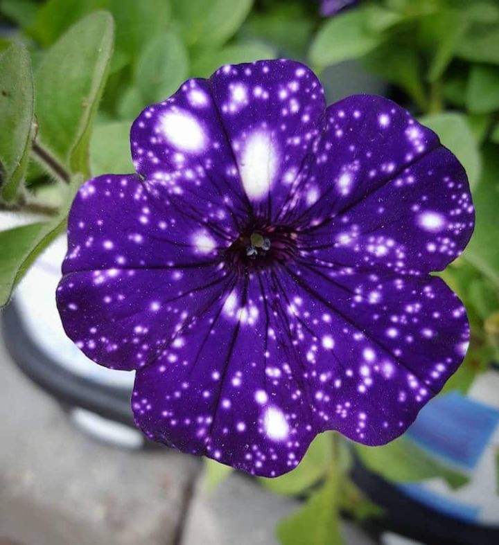 src=http___pic1.zhimg.com_v2-eaefa61b780aefd4f7986833c3210bc6_1200x500.jpg&refer=http___pic1.zhimg