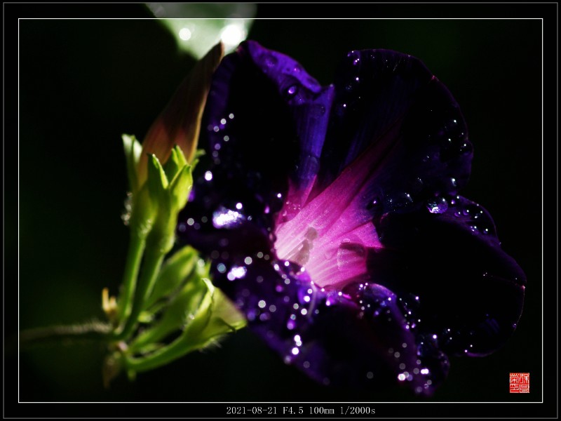 DSC03414_副本
