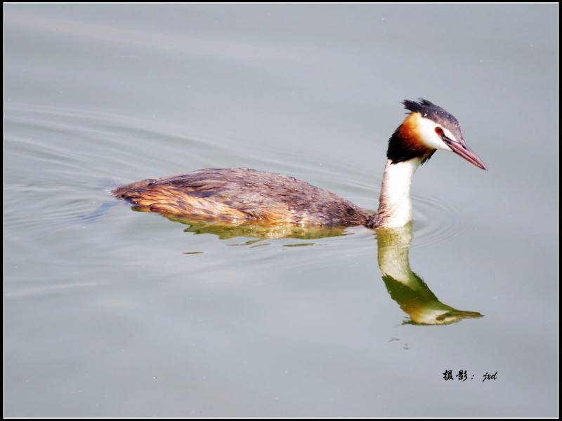 7C0880F24D2A4D6895BD9646652FC26上圖