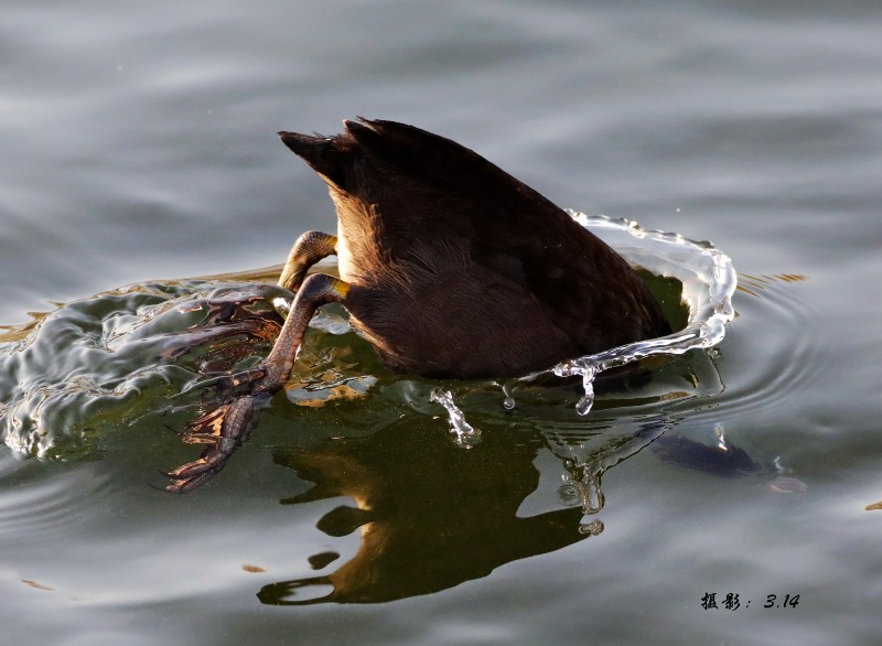DW7A0655_修圖_副本