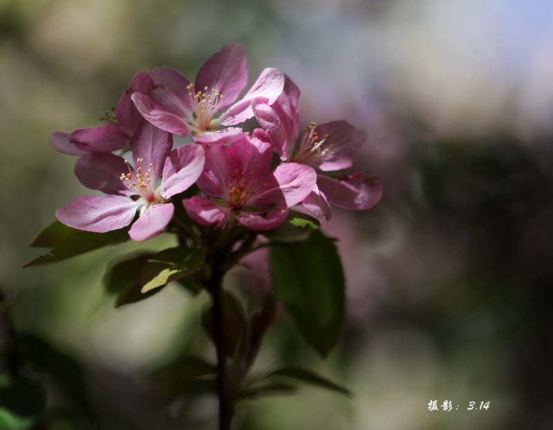 DW7A0397_紅手帕