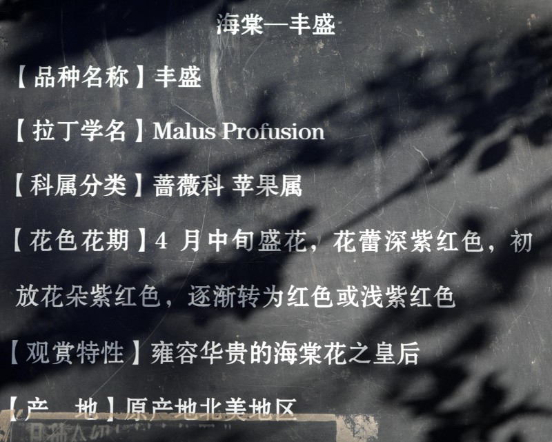 DW7A0388_豐盛