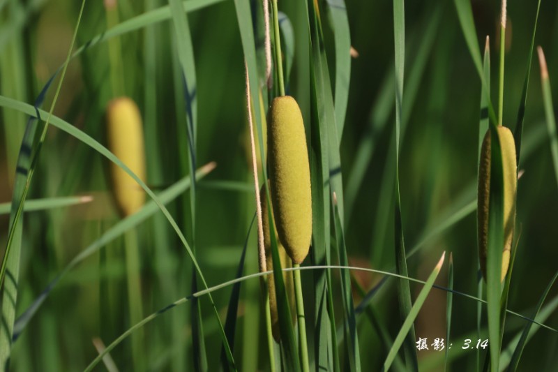 微信圖片_20230622182221_副本