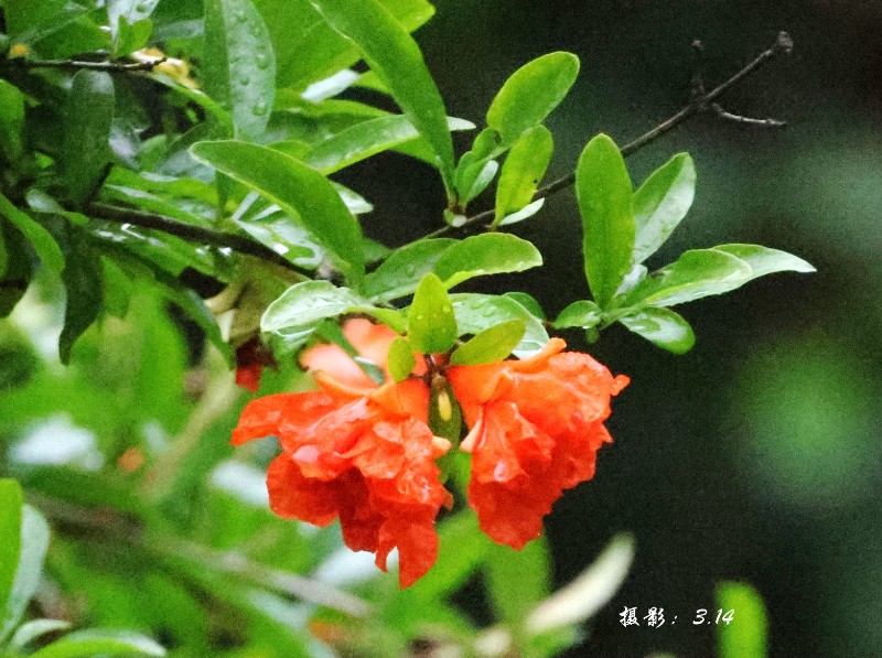 微信圖片_20230622182021_副本