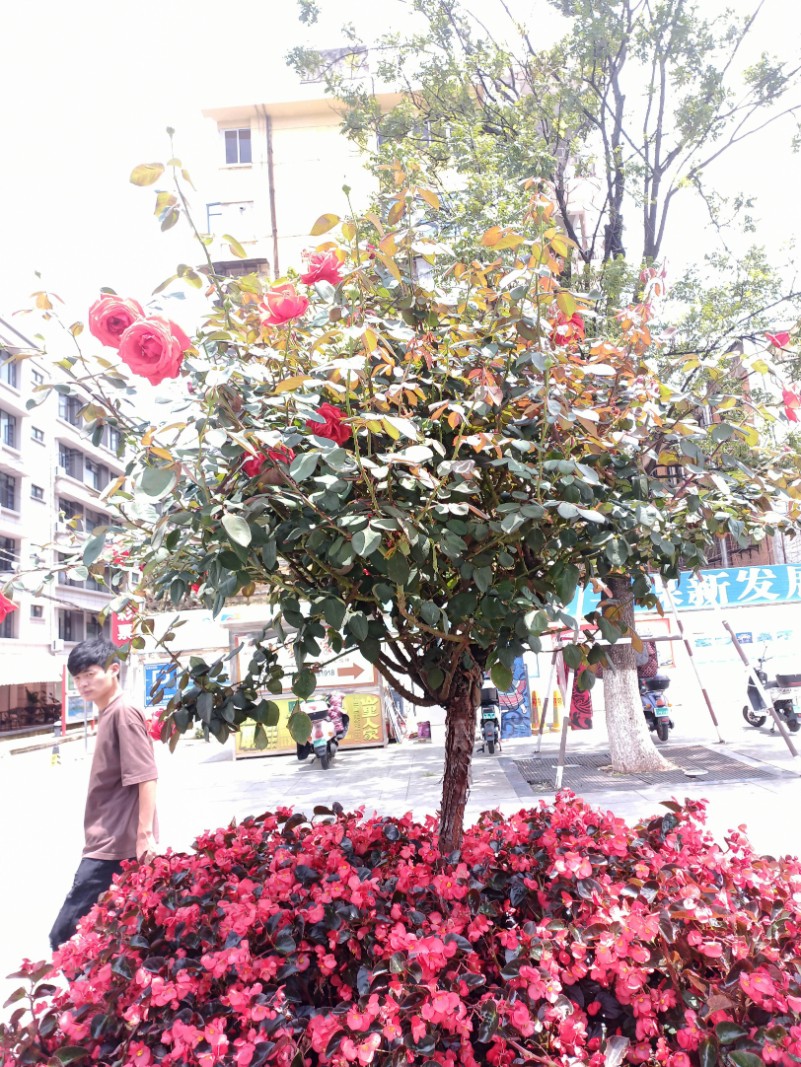 st20230822182928_副本