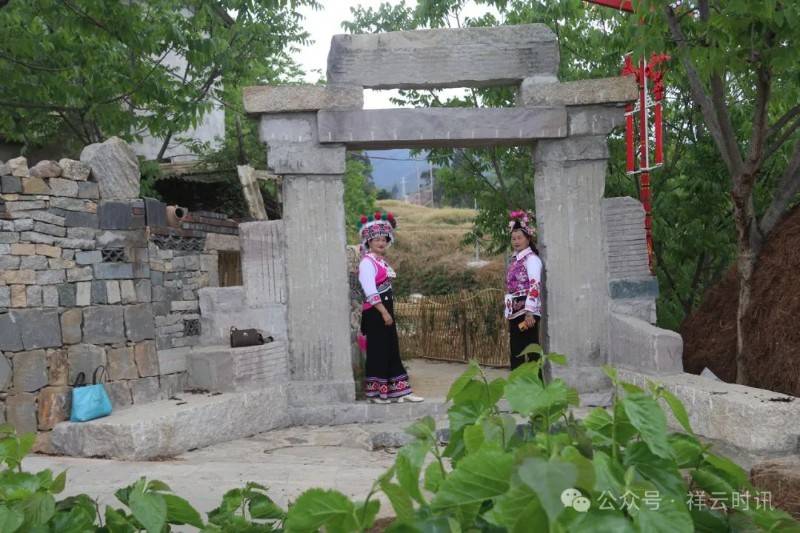 圖片