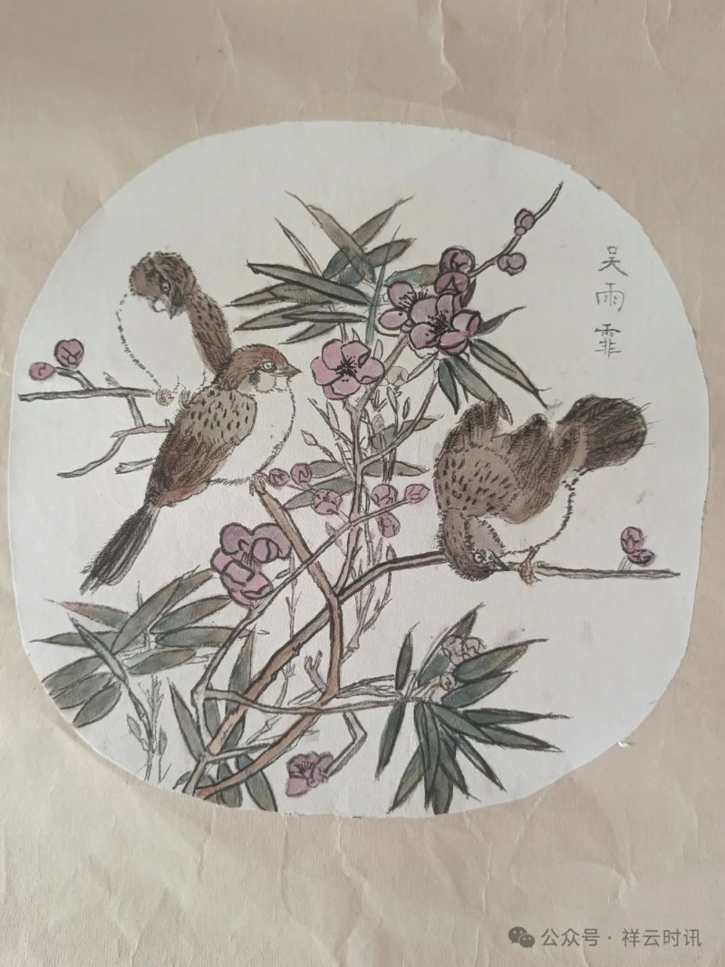 圖片