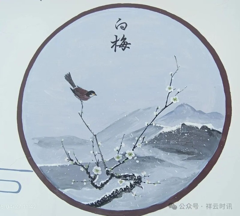 圖片
