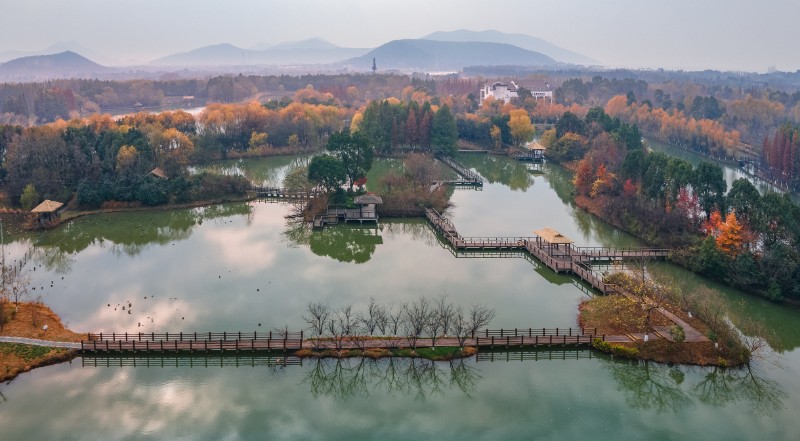 太湖湿地 俯瞰景 苏州摄影家协会