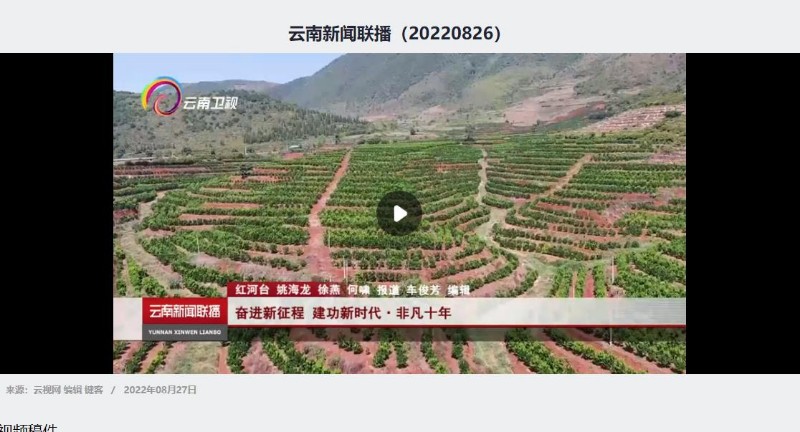 奋进新征程,建功新时代,非凡十年。【YNTV-1 云南新闻联播8月26日】 http://www.y - 关注森林
