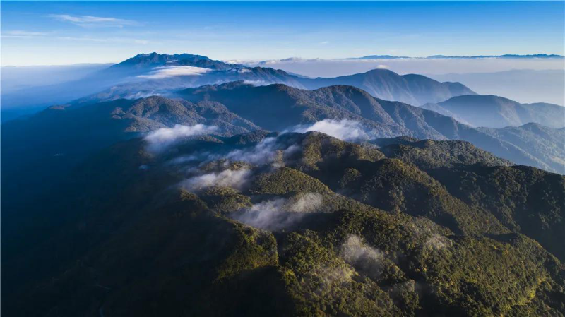 高黎贡山（保山市委宣传部供图）