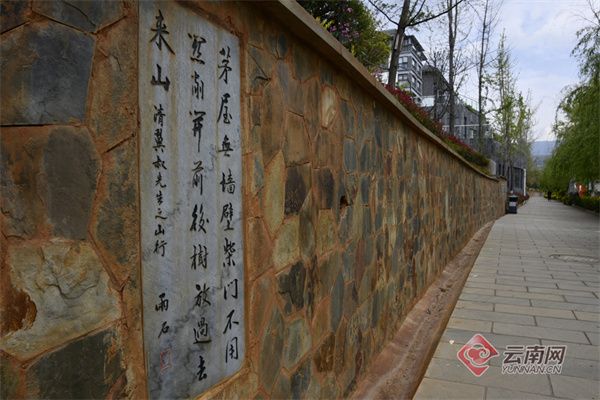 巍山:“绿美”相融 织就历史文化名城生态底色 - 关注森林
