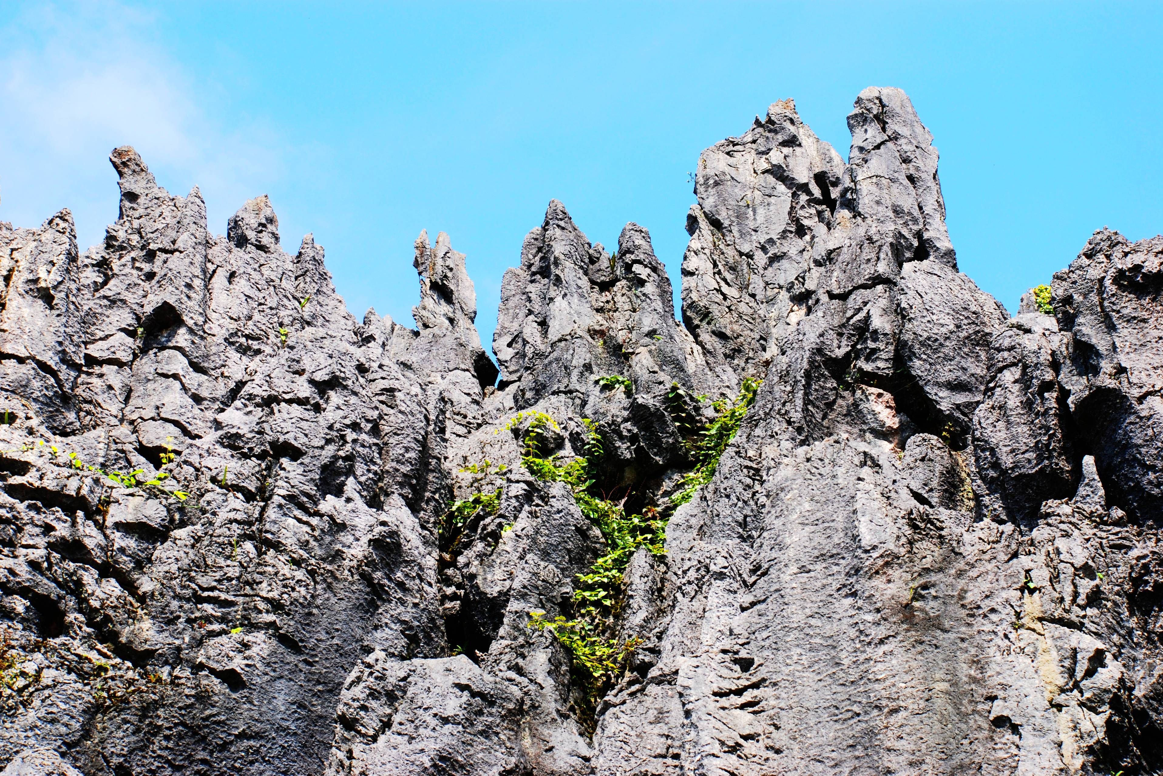 云南省文山壮族苗族自治州麻栗坡县地处喀斯特地貌区，县域内峡谷纵横、奇峰林立，自然奇观让人叹为观止。