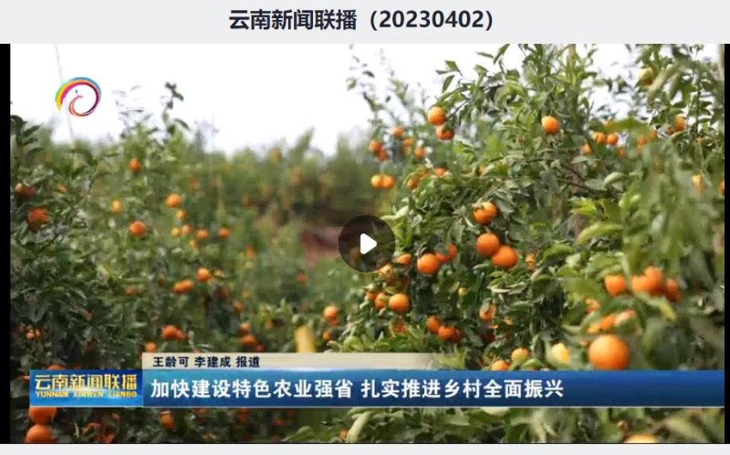 加快建设特色农业强省，扎实推进乡村全面振兴。【YNTV-1 云南新闻联播4月2日】 https:// - 关注森林
