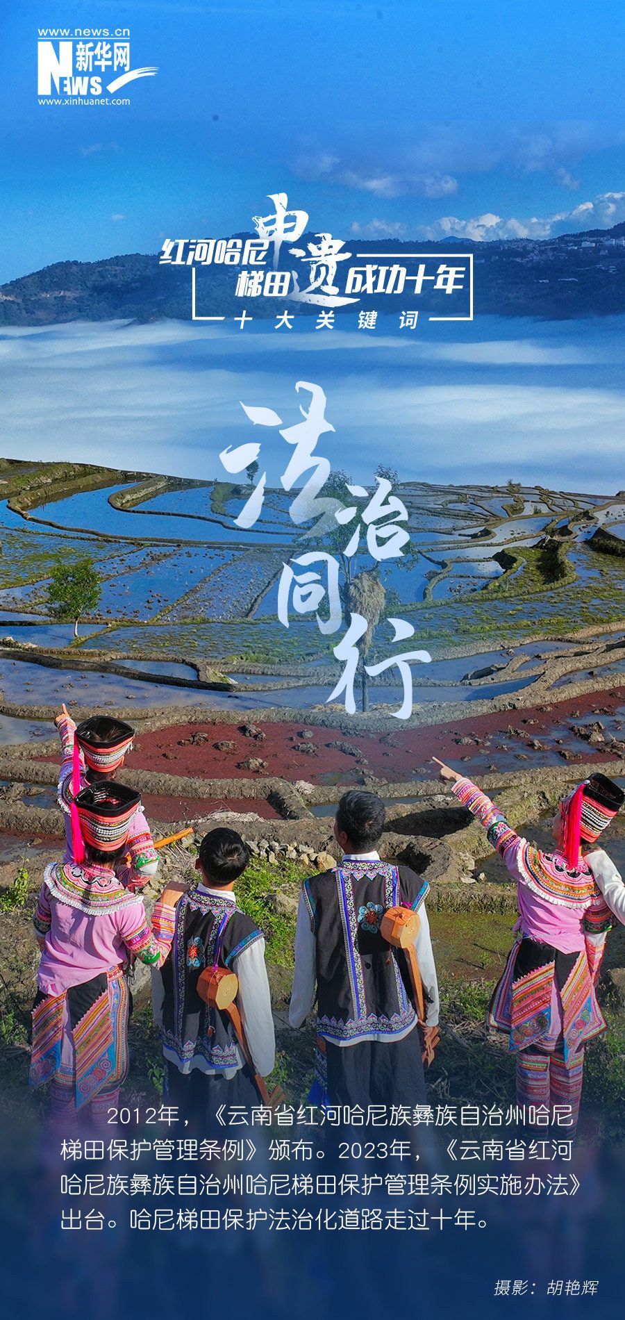 共赴十年之约！红河哈尼梯田申遗成功十年十大关键词出炉 - 关注森林