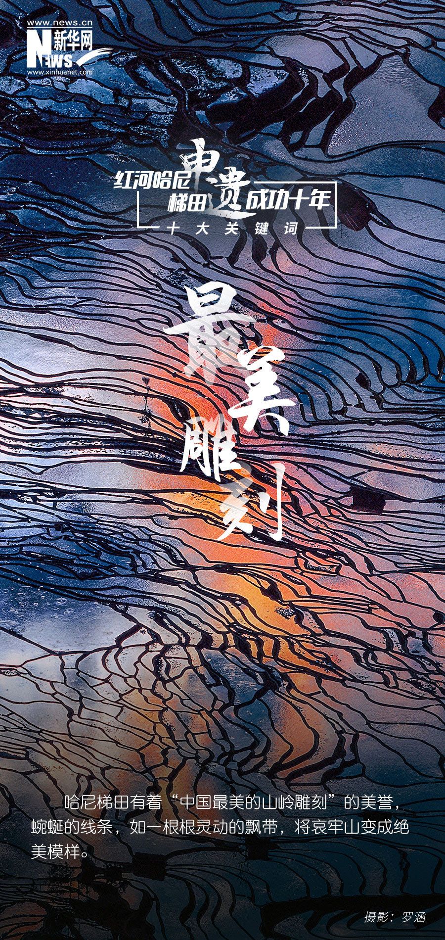 共赴十年之约！红河哈尼梯田申遗成功十年十大关键词出炉 - 关注森林