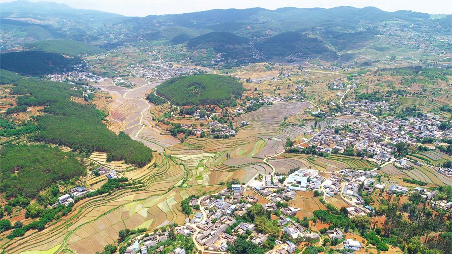 保山市隆阳区：从会种地到“慧”种地 关注森林 