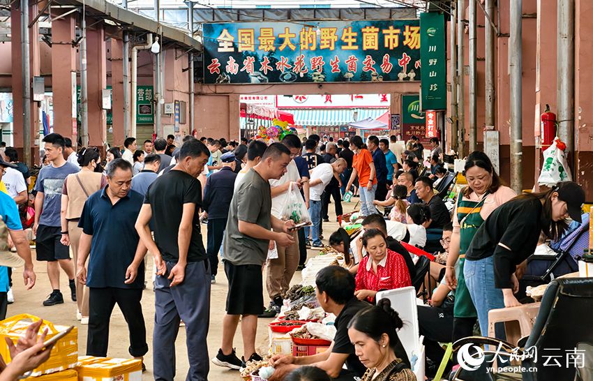 云南木水花野生菌交易中心内销售的野生菌。人民网记者 符皓摄