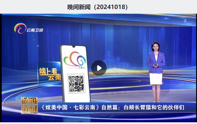 360截图20241021151108807