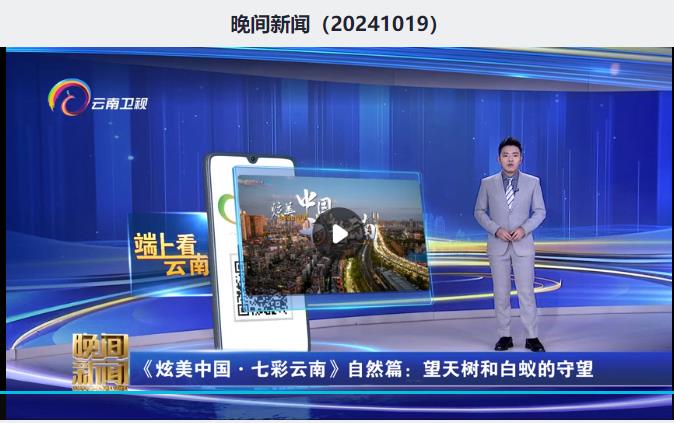 360截图20241021155439442