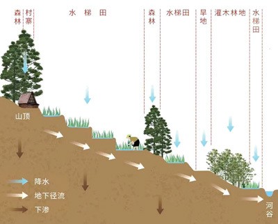 哈尼梯田“四素同構(gòu)”景觀示意圖。星球研究所供圖