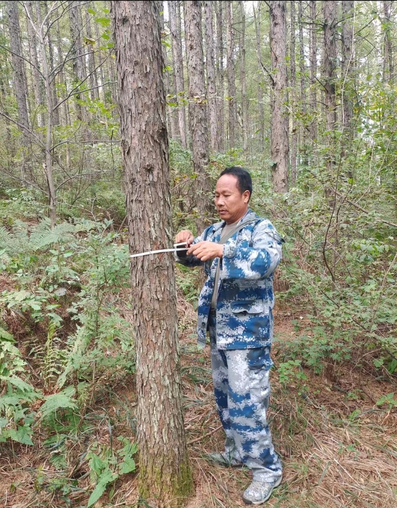 钟建德比赛照片