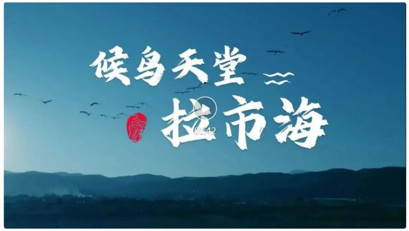 微信截图_20240529125308
