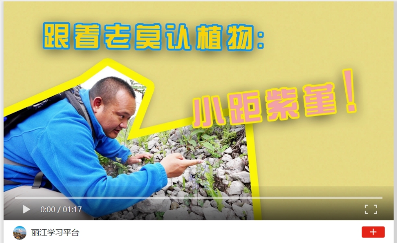 微信截圖_20240821110334