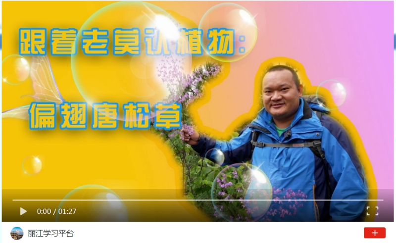 微信截图_20240822153446