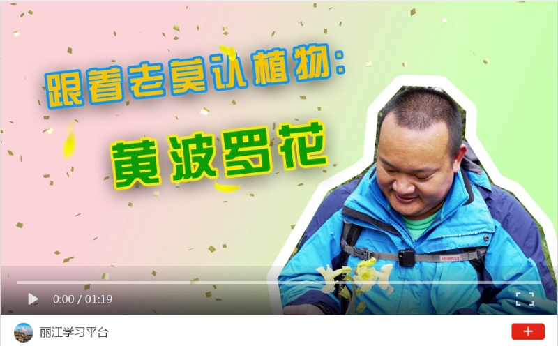微信截图_20240822161153