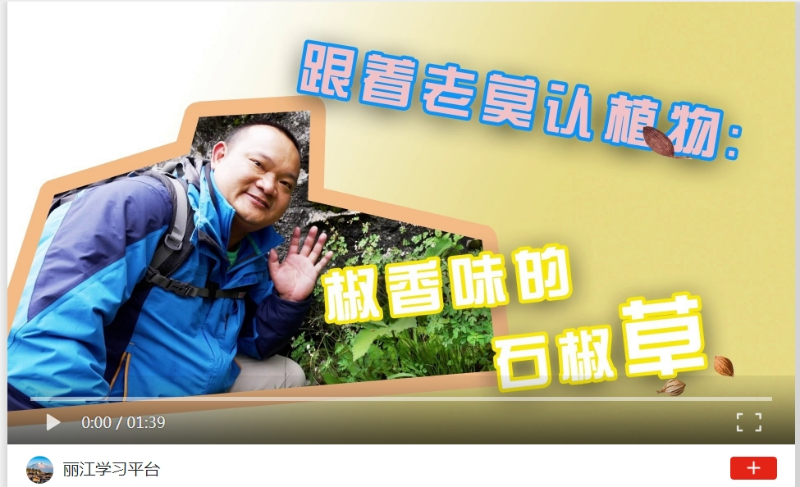 微信截图_20240822162529