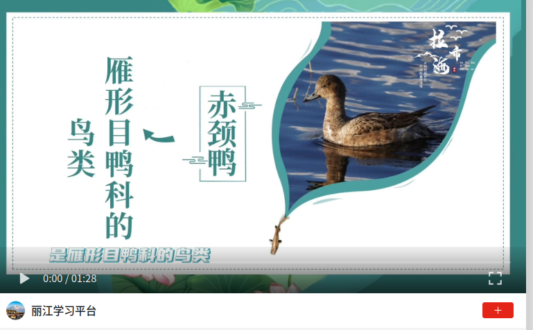 wechat_2026-05-27_154002_297
