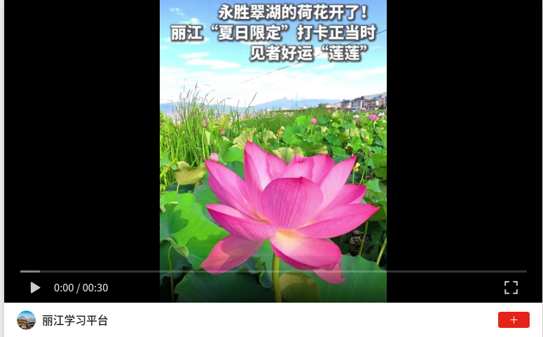 wechat_2026-06-08_113813_115