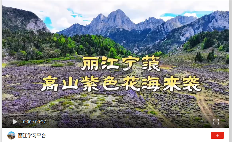 wechat_2026-06-08_115426_141