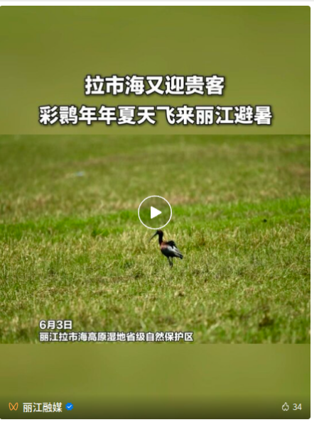 wechat_2026-06-08_140354_384