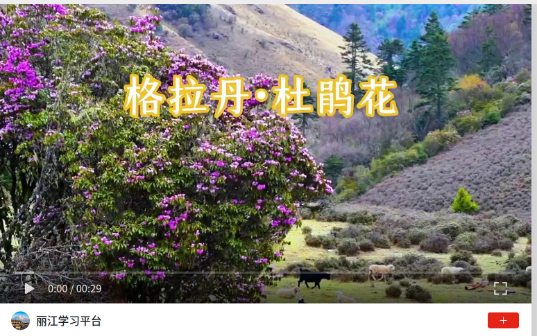 wechat_2026-06-16_114815_084