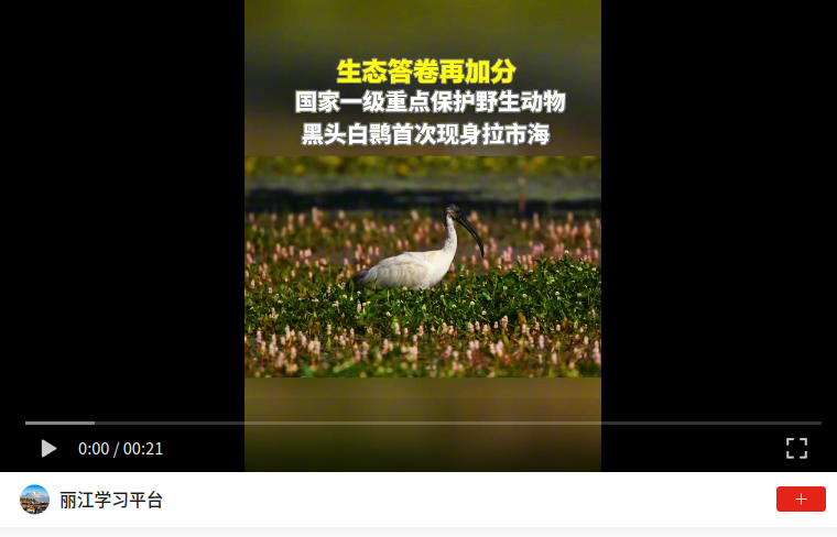wechat_2026-06-24_110613_540