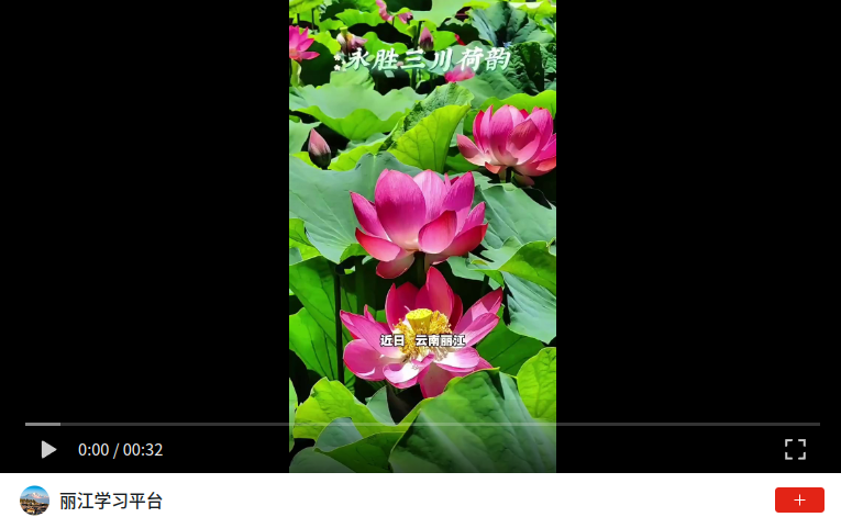 wechat_2026-07-13_152218_680
