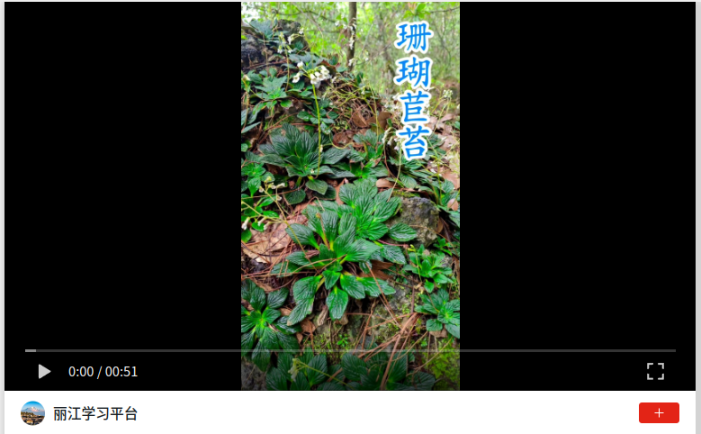 wechat_2026-07-22_161527_904