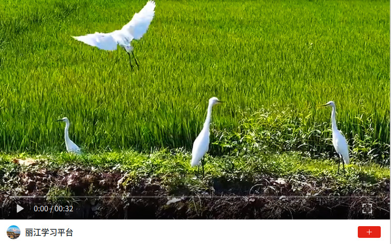 wechat_2026-08-20_150755_604