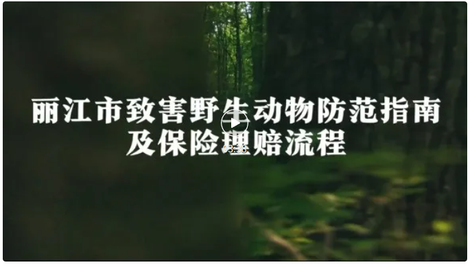 wechat_2026-09-03_145616_508