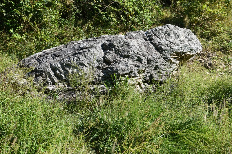蟾蜍石