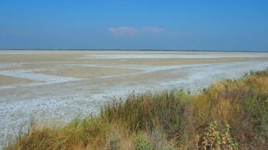 全国盐碱地生态修复的必要性与可行性